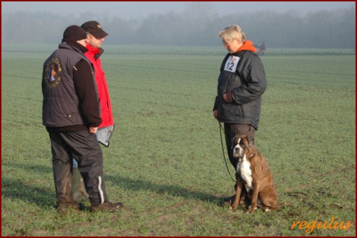 Nordseecup 2011